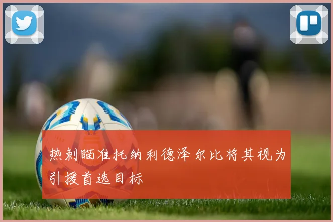 热刺瞄准托纳利德泽尔比将其视为引援首选目标