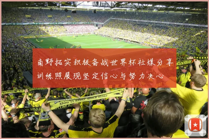 南野拓实积极备战世界杯社媒分享训练照展现坚定信心与努力决心