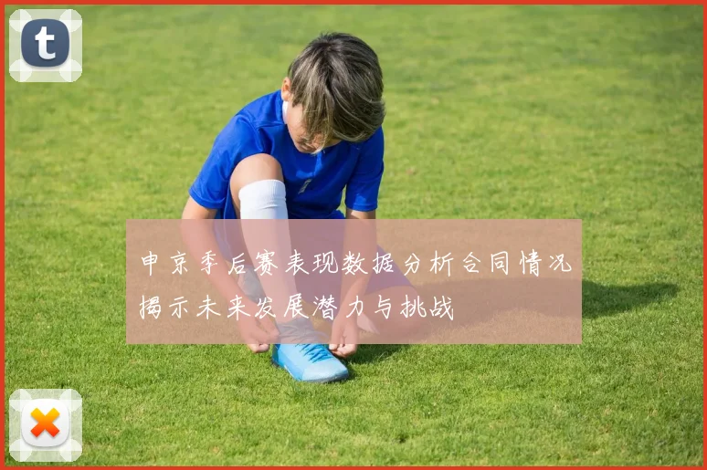 申京季后赛表现数据分析合同情况揭示未来发展潜力与挑战